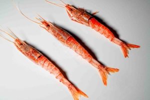 SASHIMI MAZARA